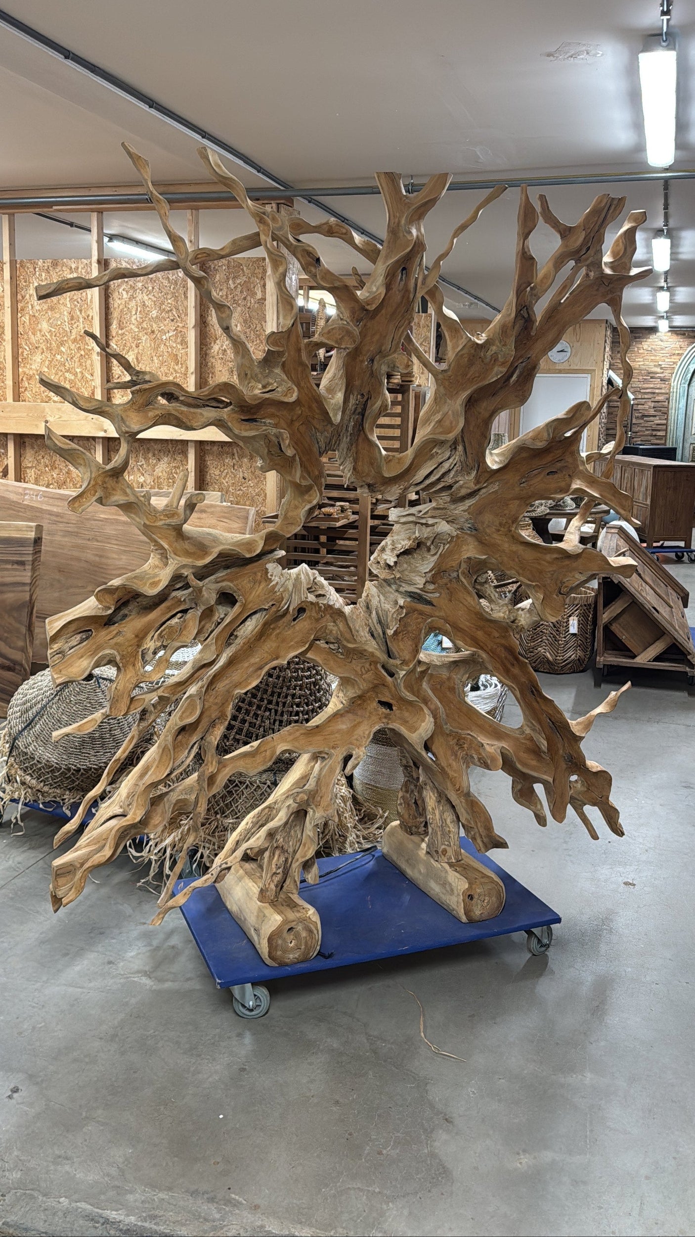 Roomdivider van teakwortel 180×200 cm – Uniek