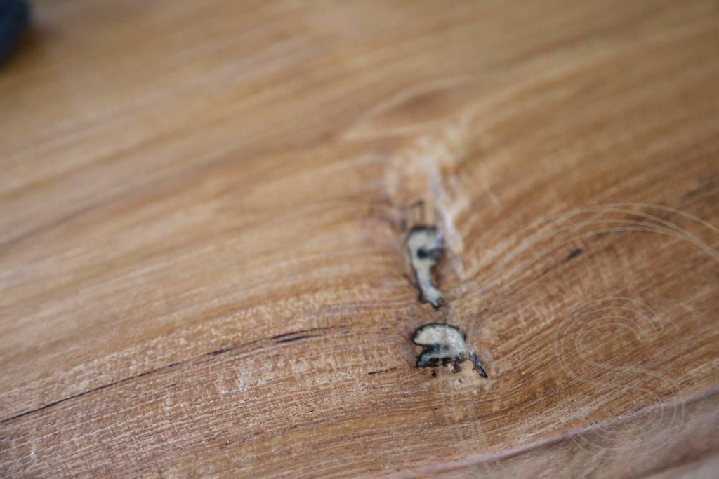 Het hardste hout ter wereld