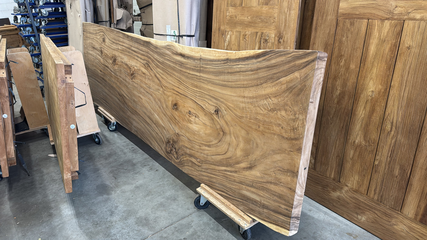 Boomstamtafel suar 4 meter