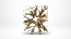 Roomdivider van teakwortel 180×200 cm – Uniek